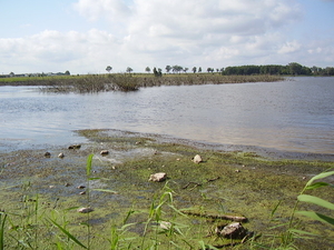 De Nonnensee