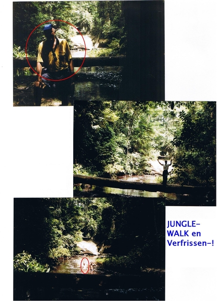 BRITSH----------------GUYANA (15)