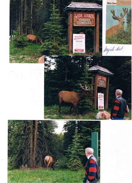 BRITISH-COLUMBIA-1999 (31)