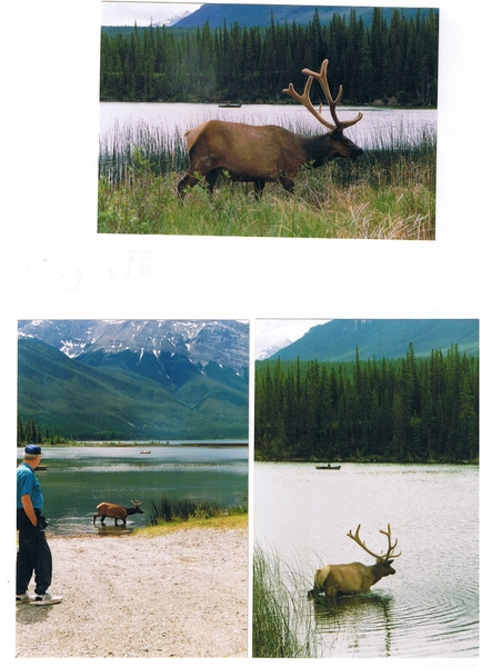 BRITISH-COLUMBIA-1999 (40)