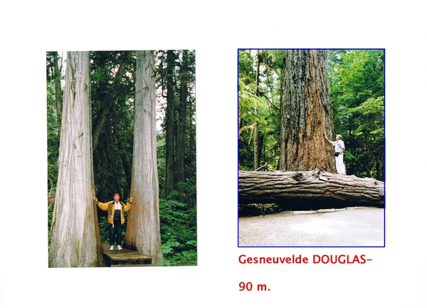 BRITISH-COLUMBIA-1999 (67)