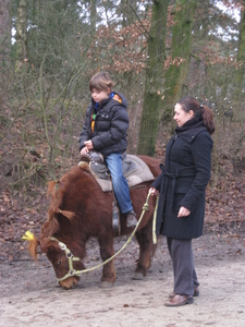 2012-01-06 erperheide 098