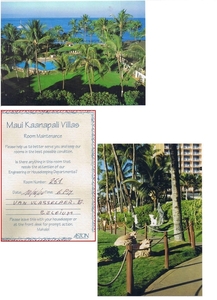 HAWAII-MAUI-2000 (27)