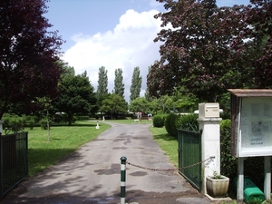bloemmetje 004