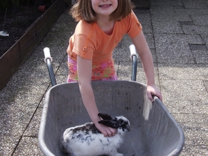 bloesem 001