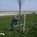 bloesem 002