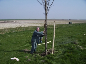 bloesem 002