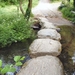 compleet 041