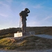 compleet 195