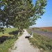 compleet 226