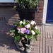 compleet 289