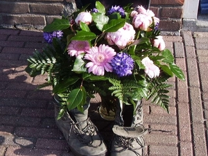 compleet 290