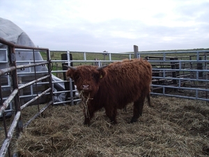 natuur 001