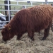 natuur 002