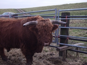 natuur 004