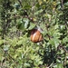 Frankrijk 011