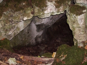 reuvers 024