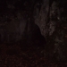 reuvers 025