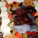 Doop Anna 12-12-2010 043
