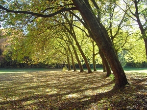 PICT0057