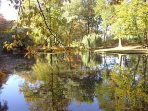 Spiegeling