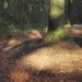 Herfst (2)