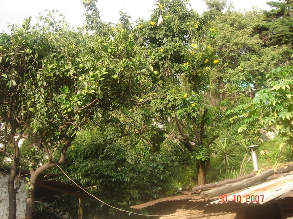 GUATEMALA--2007 (118)