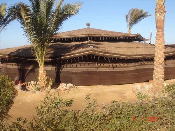 CRUISE-EGYPT.2007-08 (158)