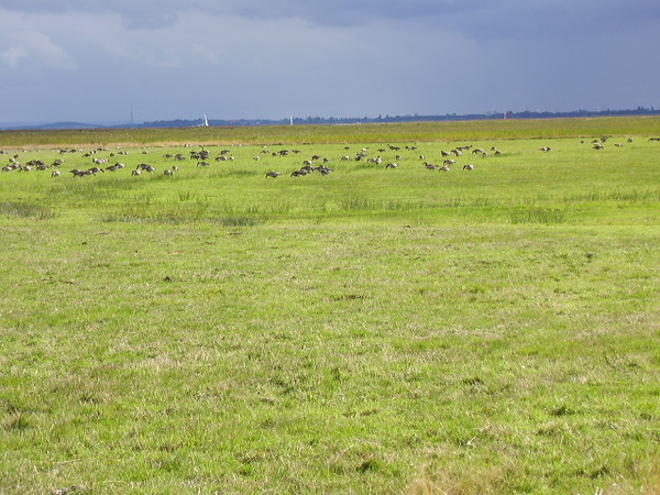 P9130063