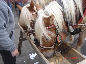 ELBIGENALP---TIROL-2008 (17)