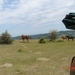 SAFARI-BULGARIJE (18)