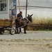 SAFARI-BULGARIJE (42)