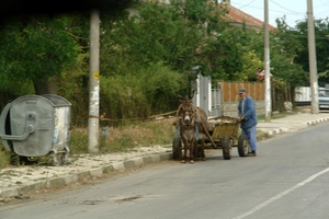 SAFARI-BULGARIJE (43)