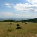 SAFARI-BULGARIJE (53)