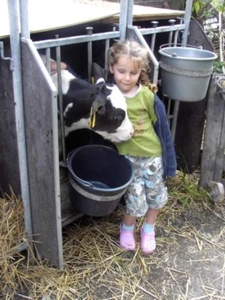 Het pasgeboren kalf en Shania