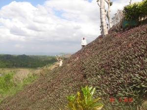 FILIP.BOHOL-2010 (14)