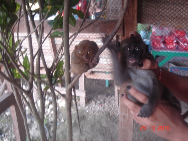FILIP.BOHOL-2010 (43)