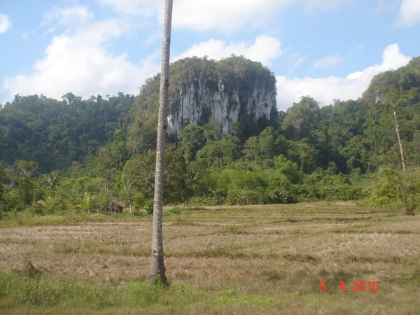 FIL.PALAWAN-----Puerto-Princesa-2010 (36)