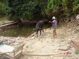 FIL.PALAWAN-----Puerto-Princesa-2010 (69)