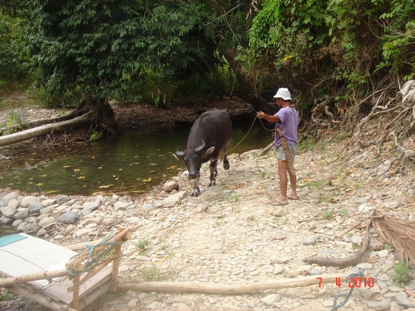 FIL.PALAWAN-----Puerto-Princesa-2010 (69)