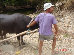 FIL.PALAWAN-----Puerto-Princesa-2010 (70)