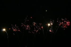 vuurwerk boven het stadsplein