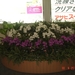 FUKUOKA------2010 (10)