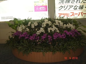 FUKUOKA------2010 (10)