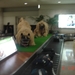 FUKUOKA------2010 (11)