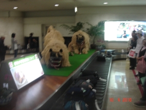 FUKUOKA------2010 (11)