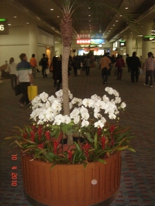 FUKUOKA------2010 (7)