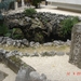 OKINAWA-2010 (39)