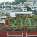 OKINAWA-2010 (55)
