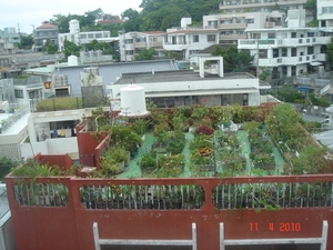 OKINAWA-2010 (55)